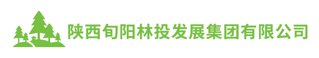 陕西旬阳林投发展集团有限公司